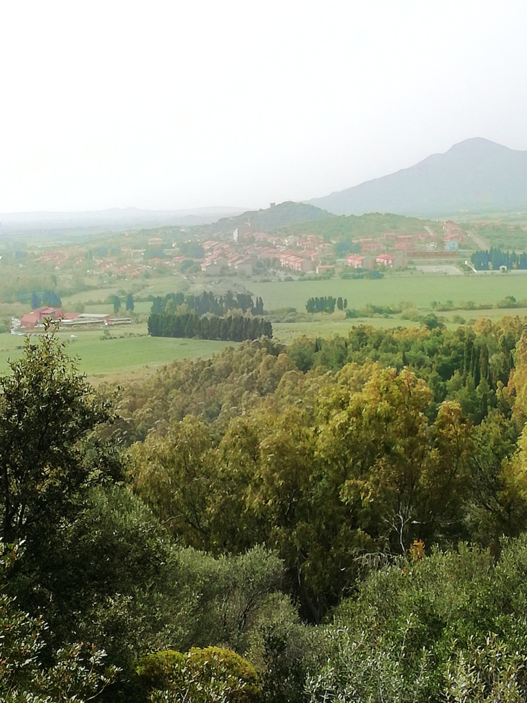 Il paese